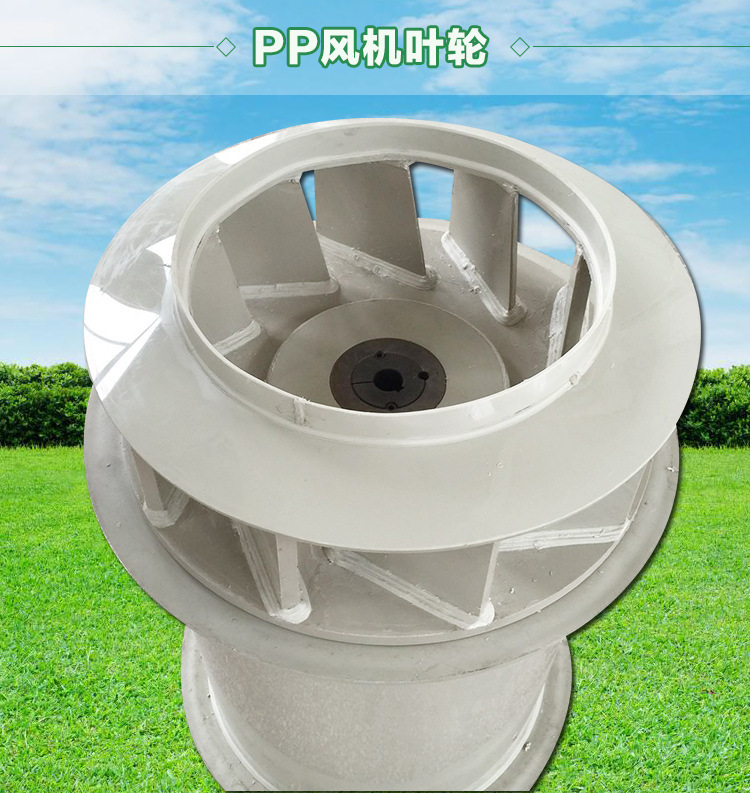 1705021859213826.jpg 1494936205.jpg